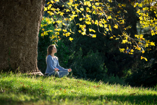 Embracing Mindfulness Meditation: A Guide to Cultivating Wellness, Inner Peace, and Self-Connection